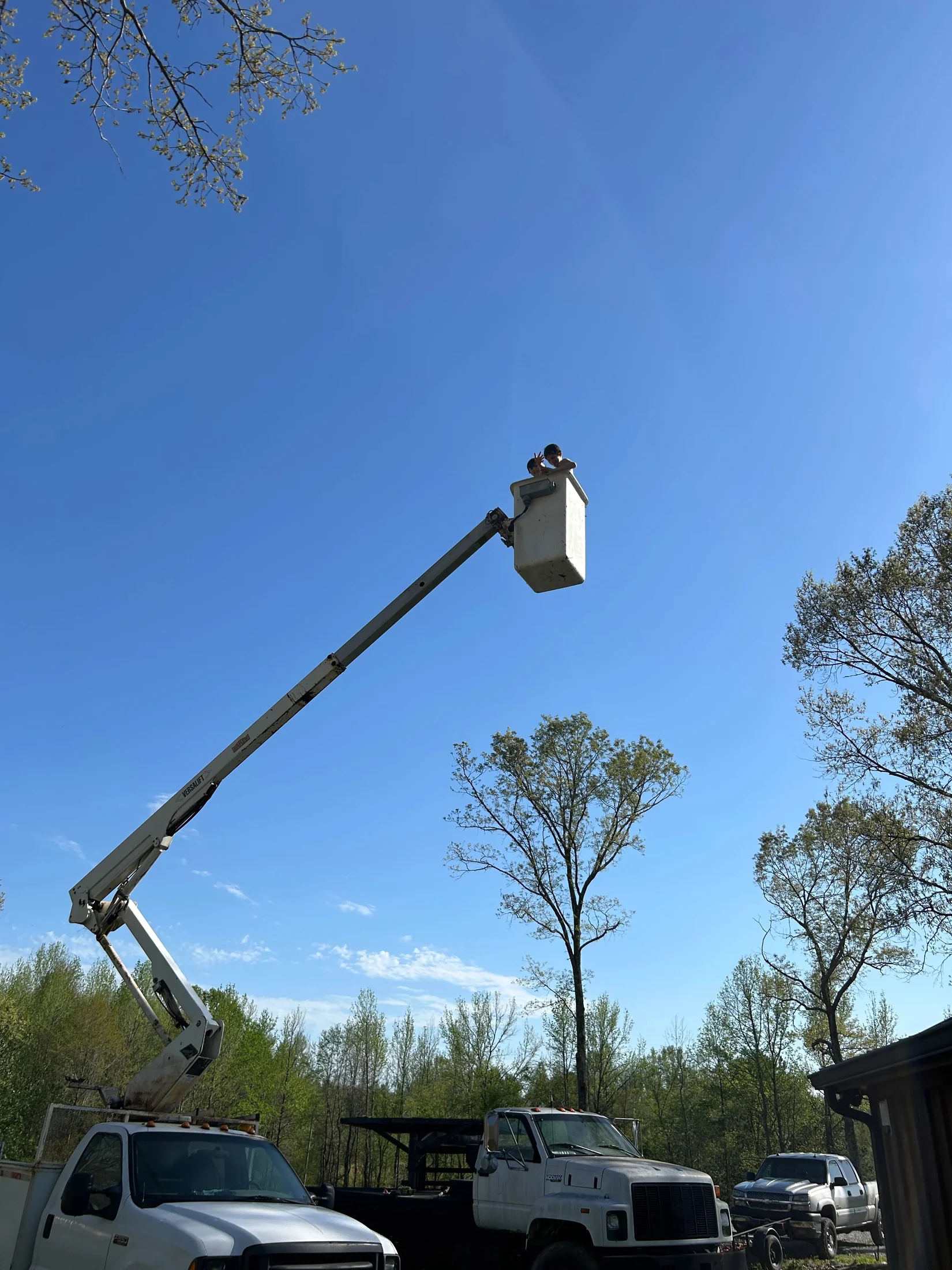 Wilburn Tree Service elevated tree work