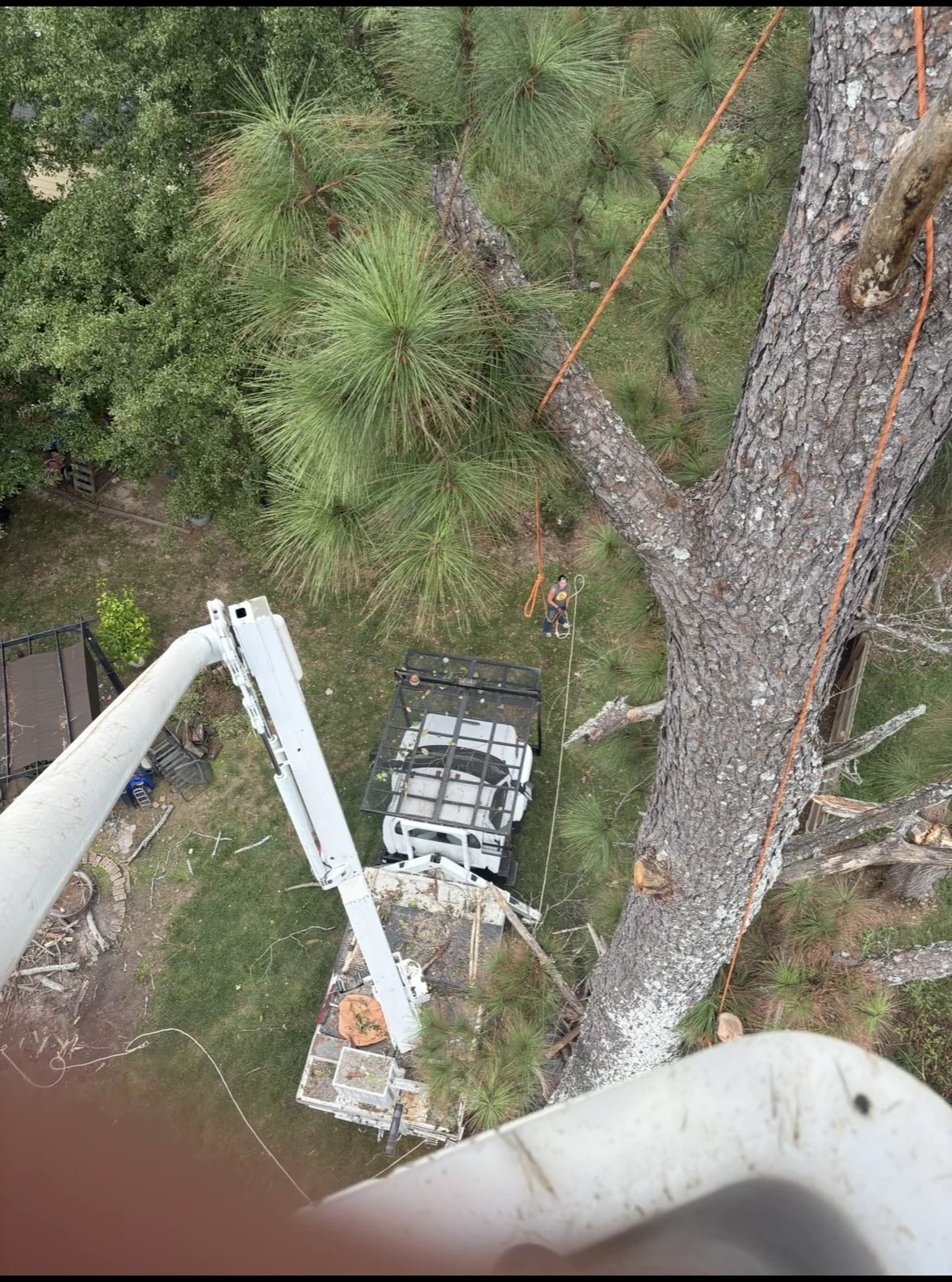 Elevated tree work from a bucket