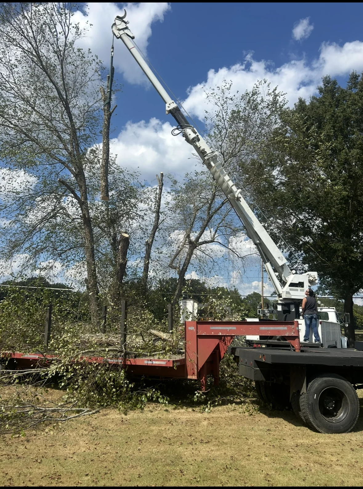 Boom truck positioned for tree work