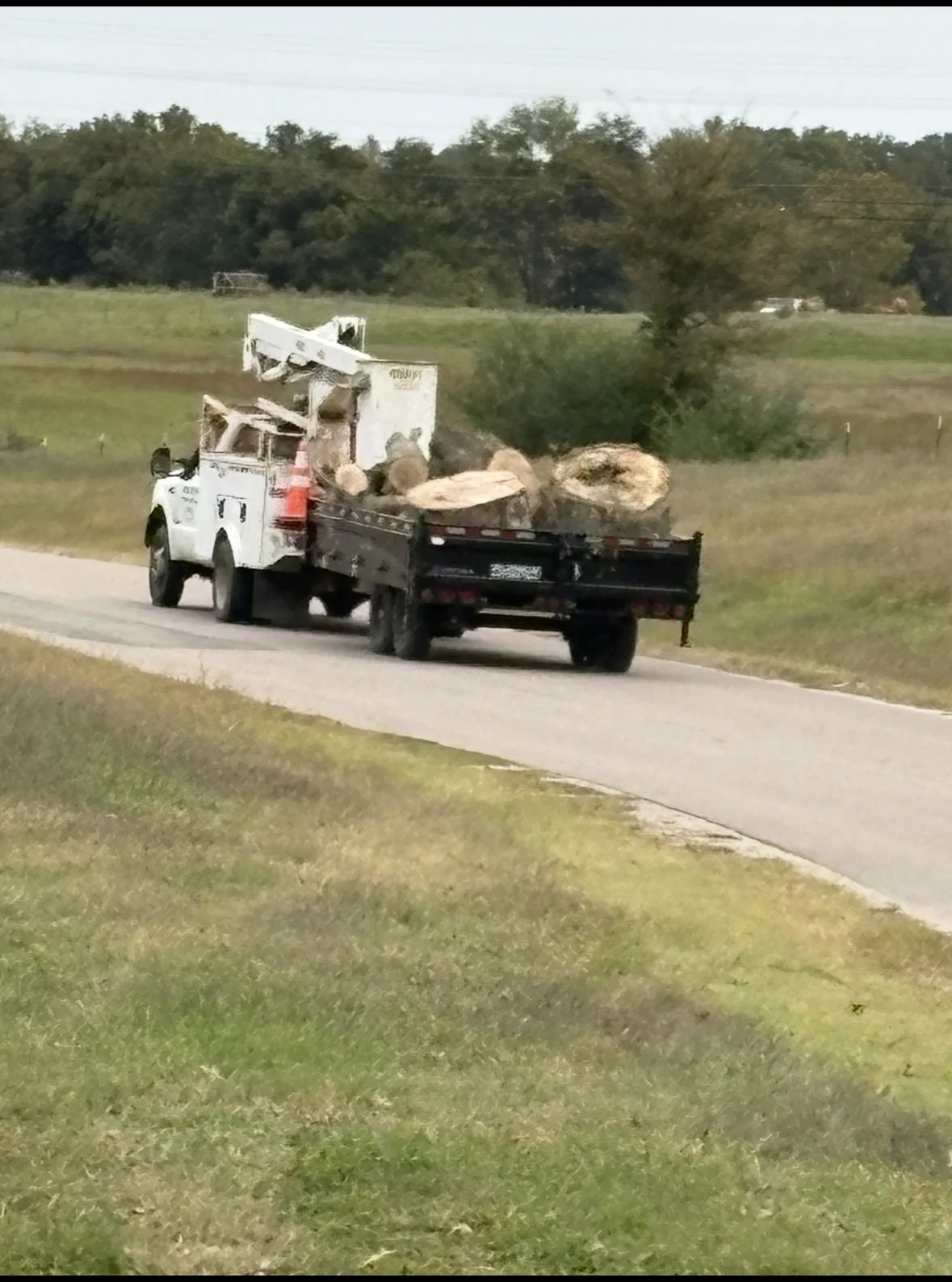 Tree service trucks and equipment